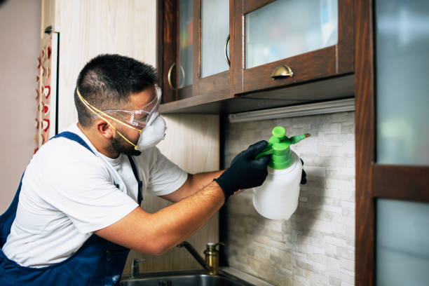 Pest Control Cost in South Bound Brook, NJ
