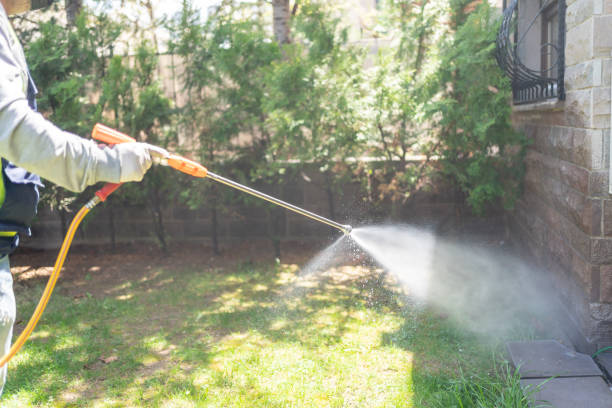 Best Pest Control Near Me in South Bound Brook, NJ