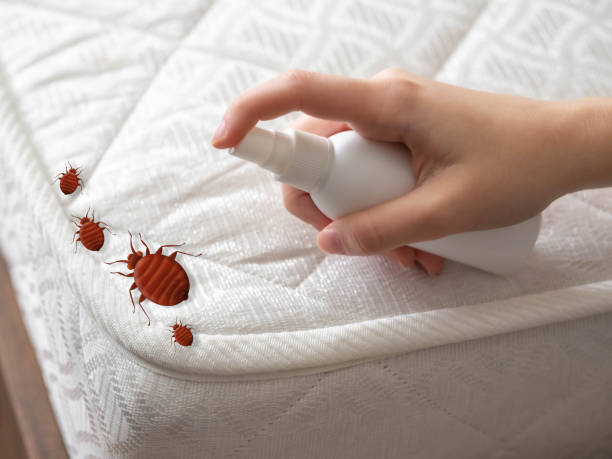 Best Insect Control  in South Bound Brook, NJ