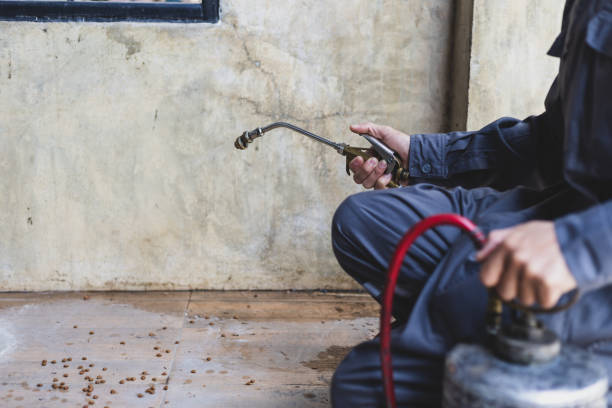 Best Pest Prevention Services  in South Bound Brook, NJ