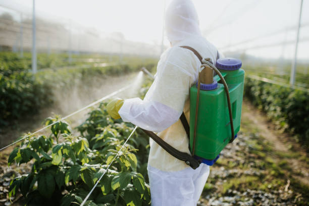 Best Affordable Pest Control Services  in South Bound Brook, NJ